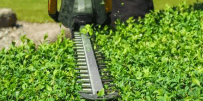 Hækkeklippere 220V Batteri Benzin